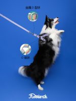 Furriends FurCity Explorer Harness – Lightweight, Breathable & Ergonomic Dog Harness - Image 4