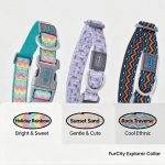 Furriends FurCity Explorer Collar – Lightweight, Breathable & Safe Dog Collar