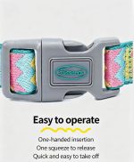 Furriends FurCity Explorer Collar – Lightweight, Breathable & Safe Dog Collar - Image 4