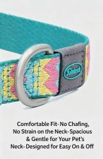 Furriends FurCity Explorer Collar – Lightweight, Breathable & Safe Dog Collar - Image 5
