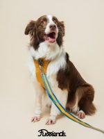 FurVoyage AirFlow Harness – Breathable Lightweight Dog Harness - Image 3
