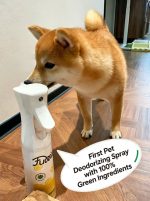 FurClean Natural Deodorizing Spray – Pet-Safe Odor Eliminator - Image 2