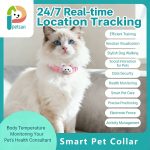 PetCan Smart Pet Collar – GPS Tracker + Health Monitor + Anti-Loss Alert - Image 3